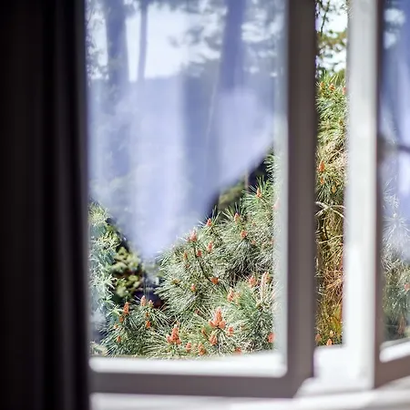 酒店 Logis Emeraude Des Bois