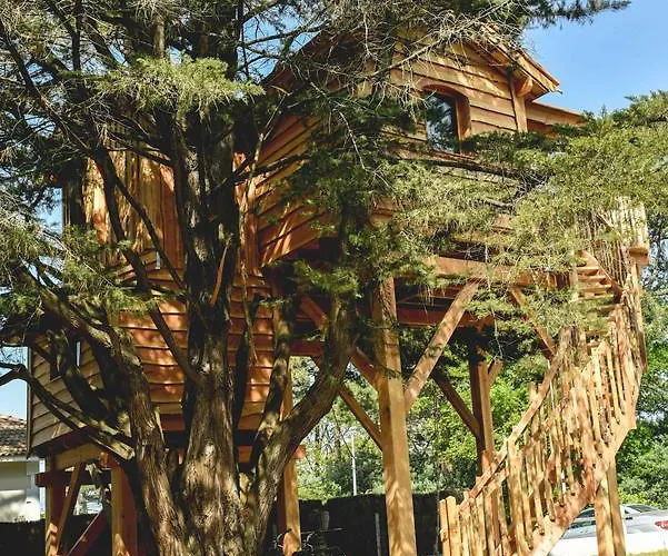 Hotel Logis Emeraude Des Bois 2*