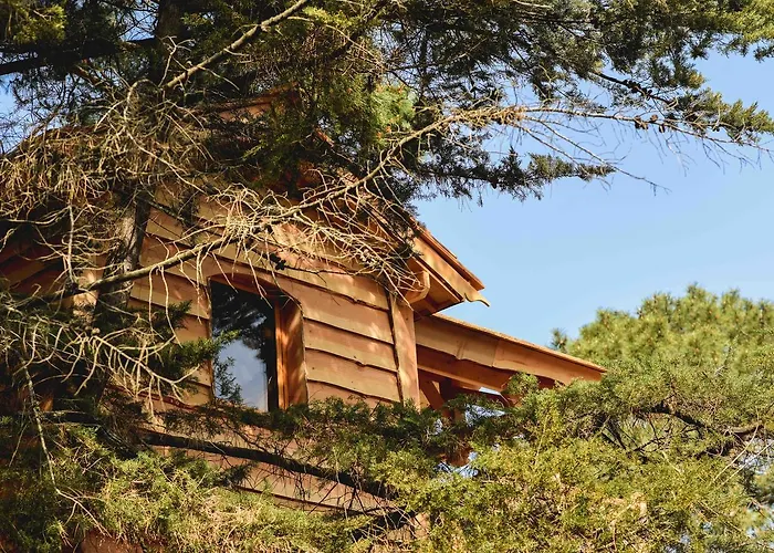 Logis Emeraude Des Bois Hotel 2*