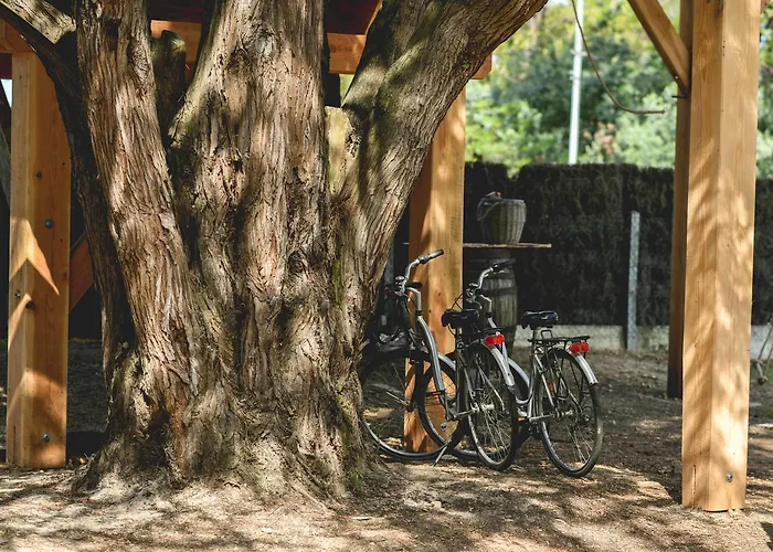 Hotel Logis Emeraude Des Bois