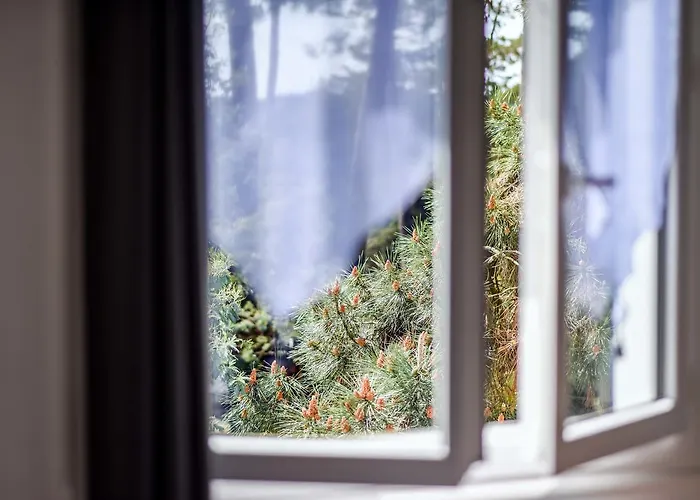 Hotel Logis Emeraude Des Bois