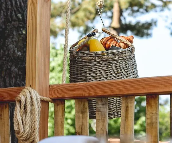 Logis Emeraude Des Bois