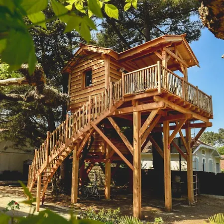 Logis Emeraude Des Bois Mimizan-Plage