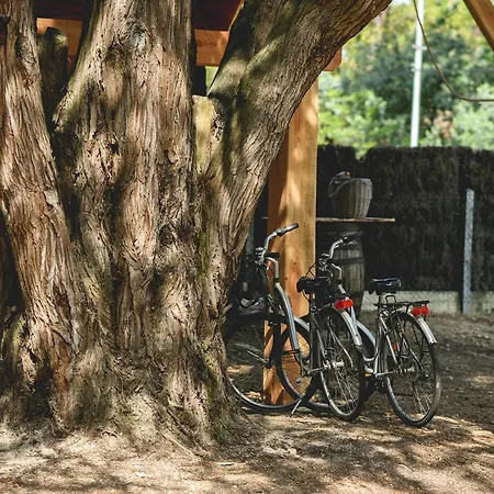 מלון Logis Emeraude Des Bois
